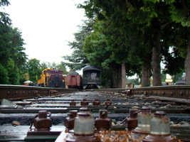 2011 08-Seattle Trains